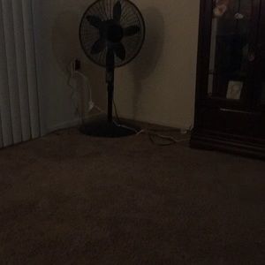 Meet your Posher, Irene